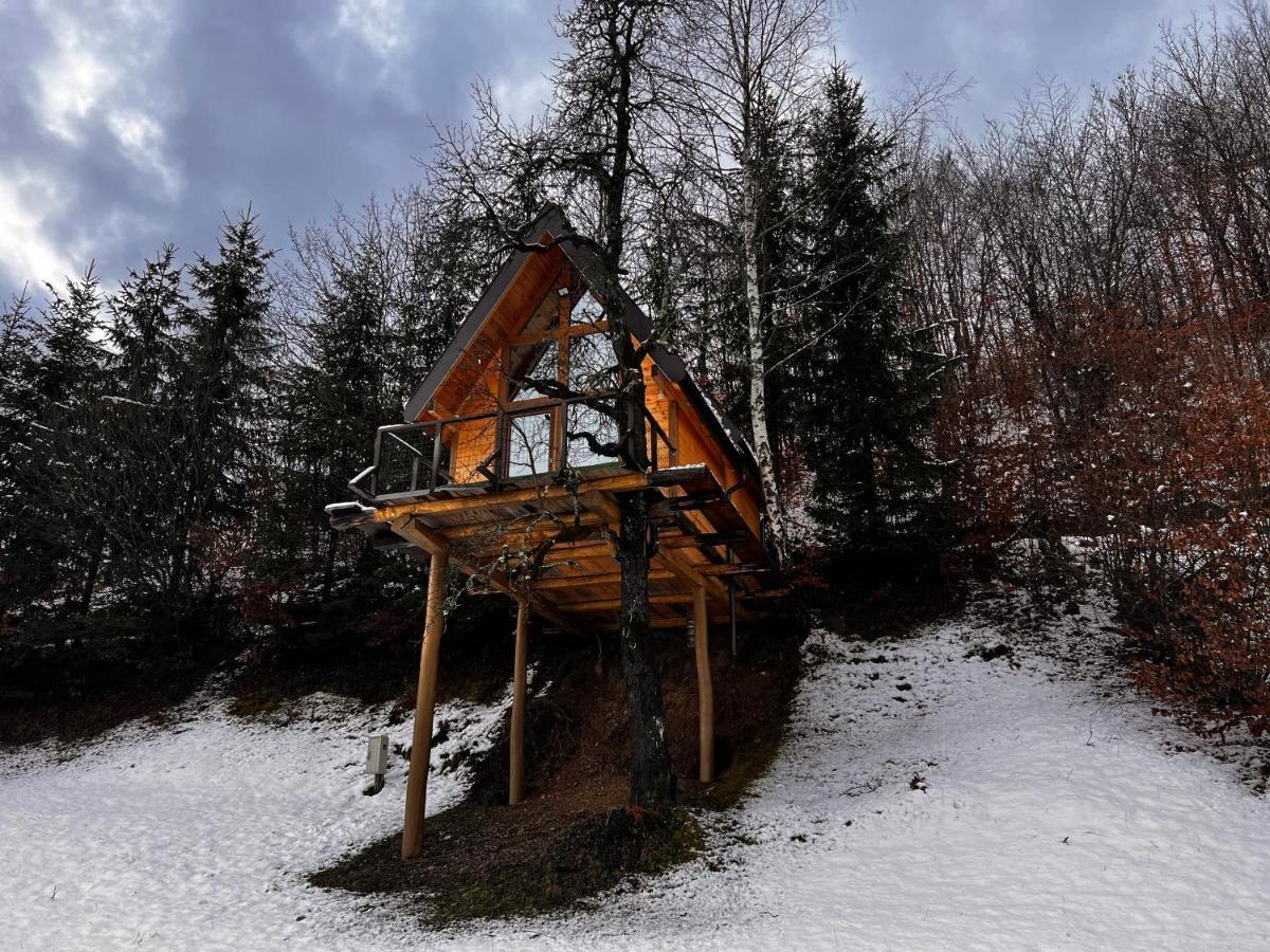Tara Place - Camp Rabrenovic โมจโคแวก ภายนอก รูปภาพ
